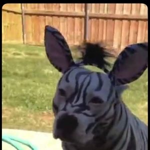 Meet your Posher, Alana